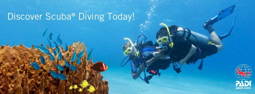 Try Dive / Discover Scuba With E-learning Paphos Cyprus